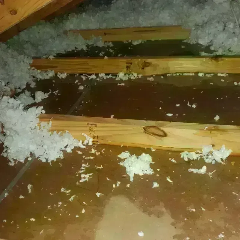 Attic Water Damage in Tomahawk, WI