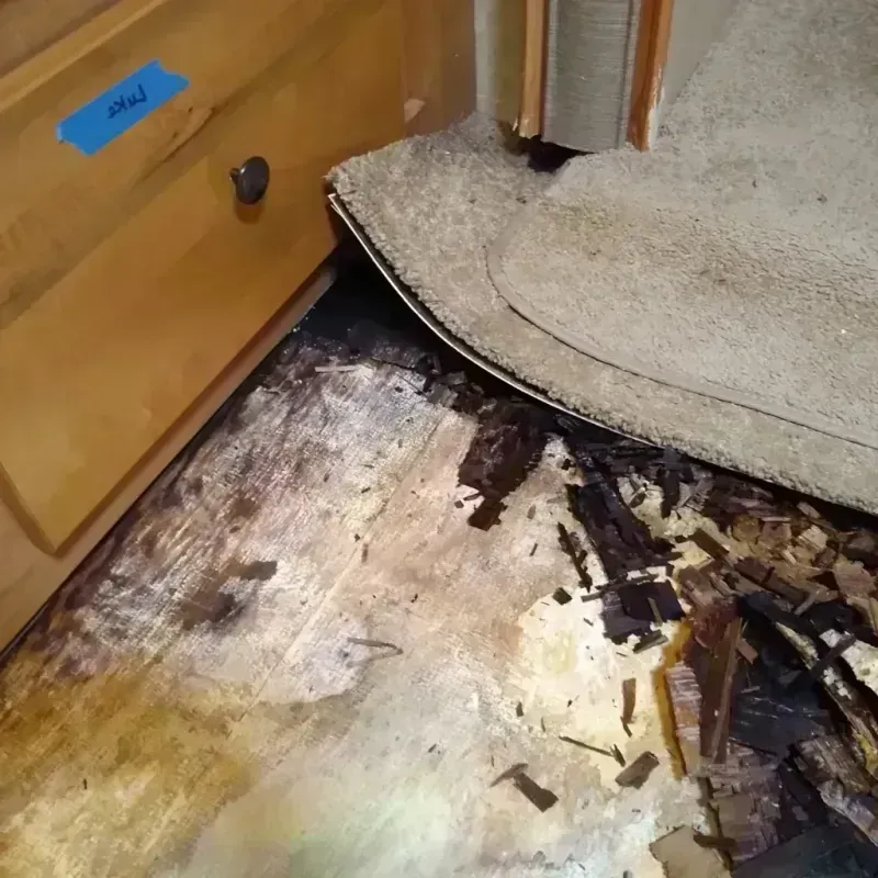 Wood Floor Water Damage in Tomahawk, WI